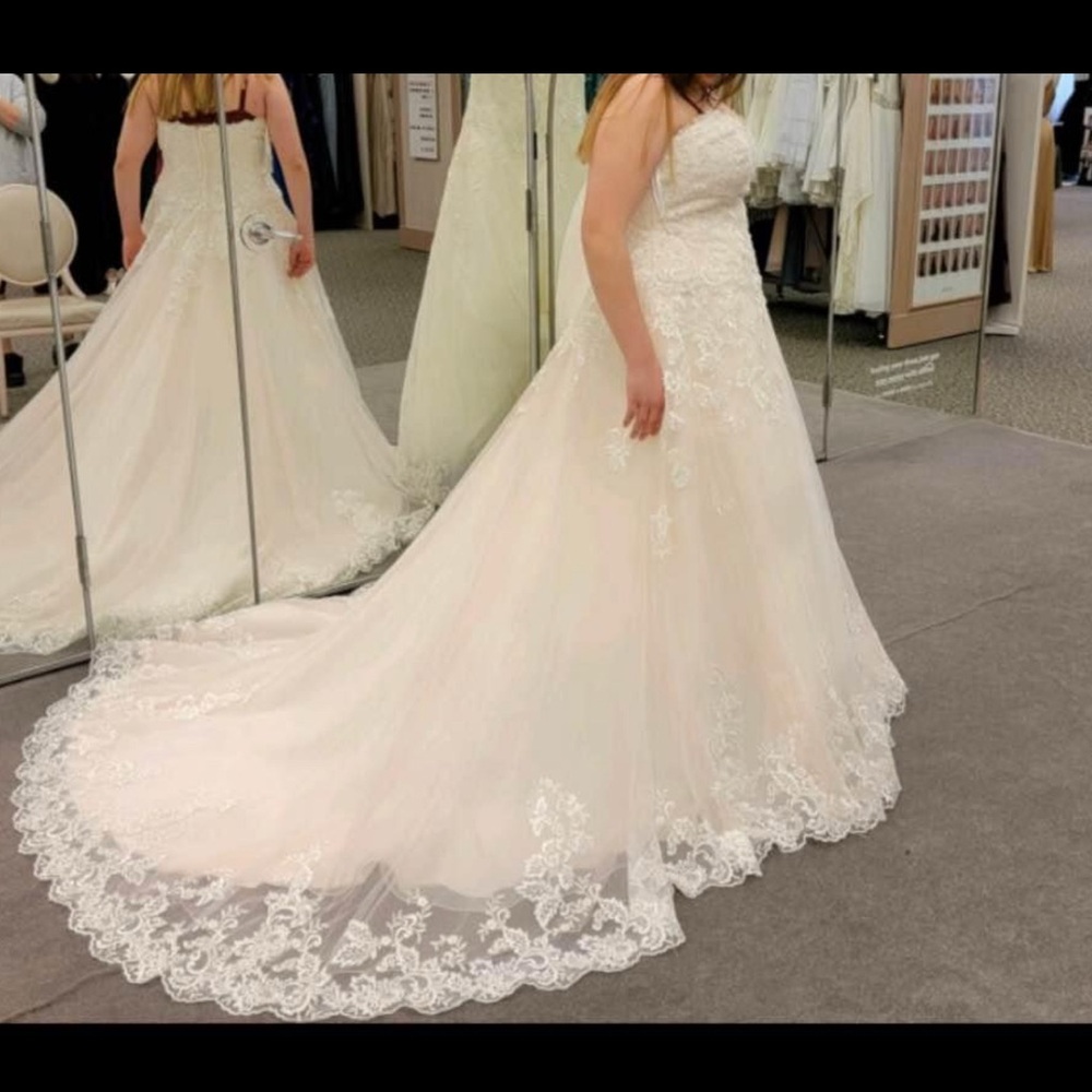 Elegant Lace Wedding Gown